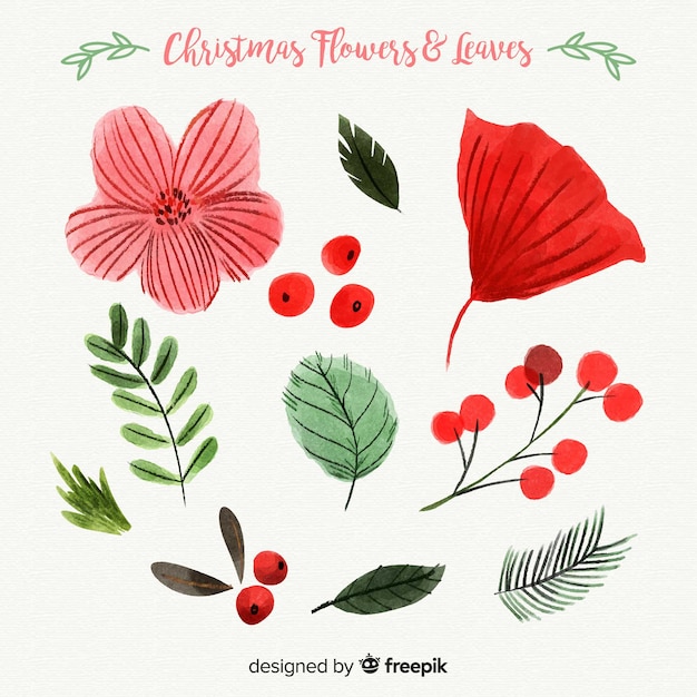 아름 다운 수채화 크리스마스 꽃과 나뭇잎 컬렉션