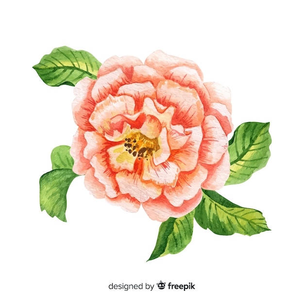 Beautiful watercolor colar flower