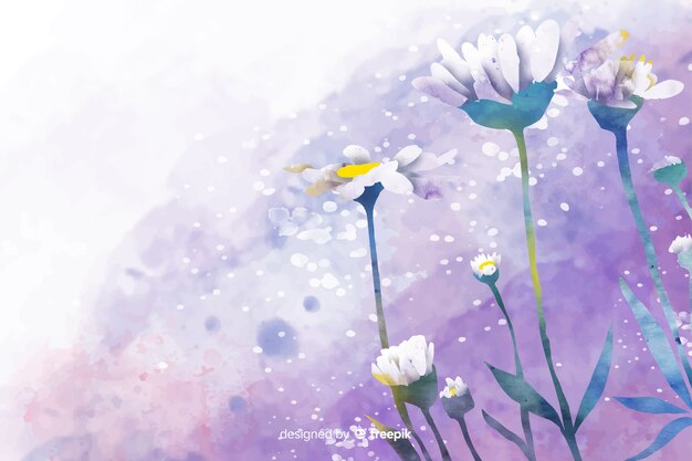 美しい水彩画デイジーの花の背景