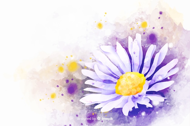 Beautiful Watercolor Daisy Flower Background
