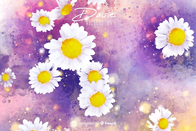 Free vector beautiful watercolor daisy flower background