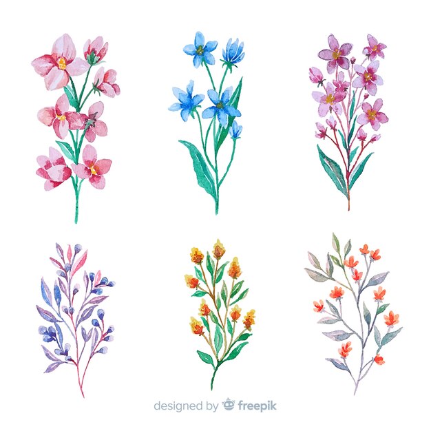 Beautiful watercolor floral branch collection