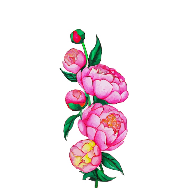 Vettore gratuito bella illustrazione della pianta del fiore dell'acquerello