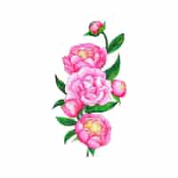Бесплатное векторное изображение Красивая иллюстрация акварельного цветка