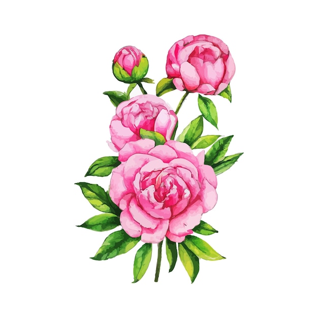 Beautiful watercolor flower plant illustration