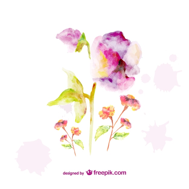 Beautiful watercolor flowers graphics 