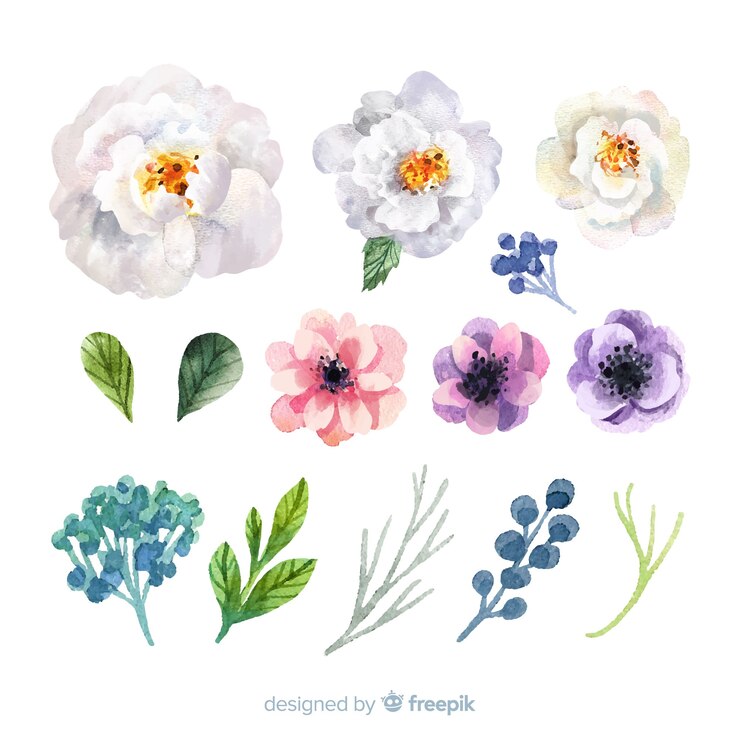 無料Vector 美しい水彩画の花と葉