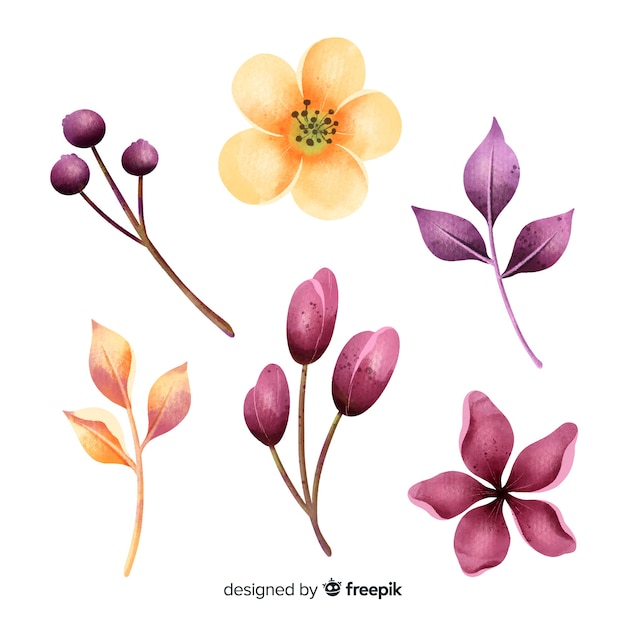 Free vector beautiful watercolor flowers and leaves
