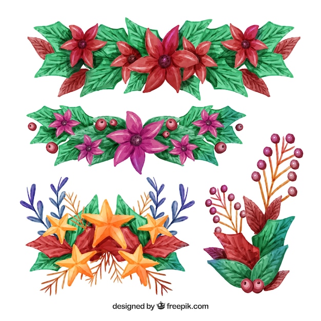 Beautiful watercolour collection of christmas flowers