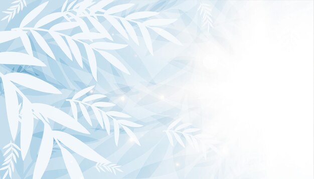 Beautiful white leaves with text space