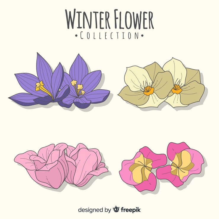 Free Vector beautiful winter flower collection