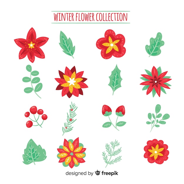 Beautiful winter flower collection