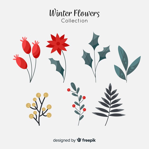 Beautiful winter flowers and berries collection