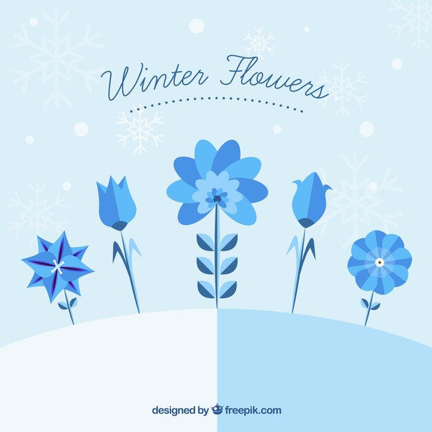 Free vector beautiful winter flowers in blue tones