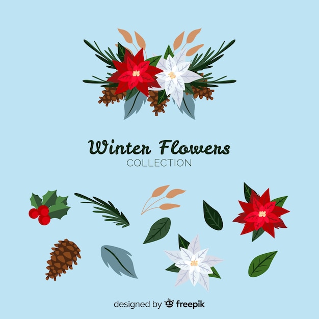 Бесплатное векторное изображение Коллекция красивых зимних цветов