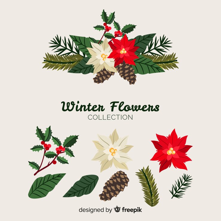 Free Vector beautiful winter flowers collection