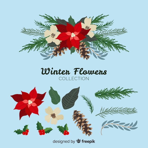 Beautiful winter flowers collection