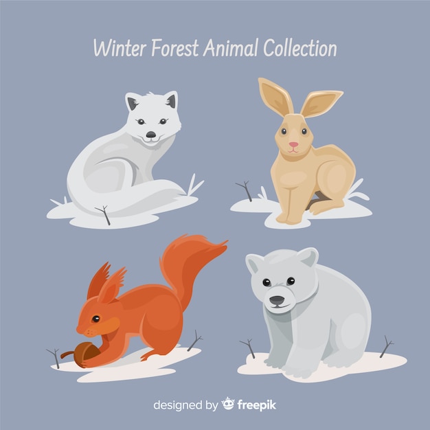 Beautiful winter forest animal collection