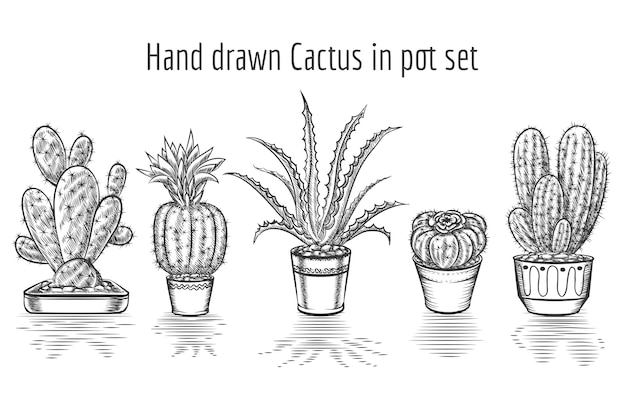 Cactus di bellezza. cactus disegnato a mano nel set di pentole. pianta d'arte, pianta d'appartamento floreale elemento.