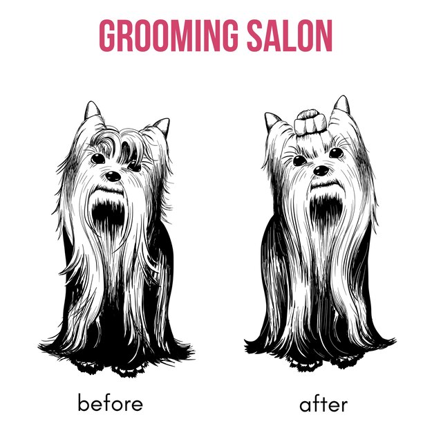 Beauty Dog Salon Template