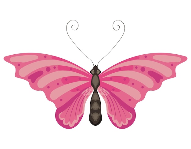 Free vector beauty fucshia butterfly insect icon