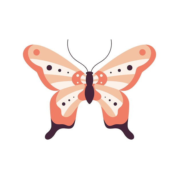 Free vector beauty pink butterfly insect