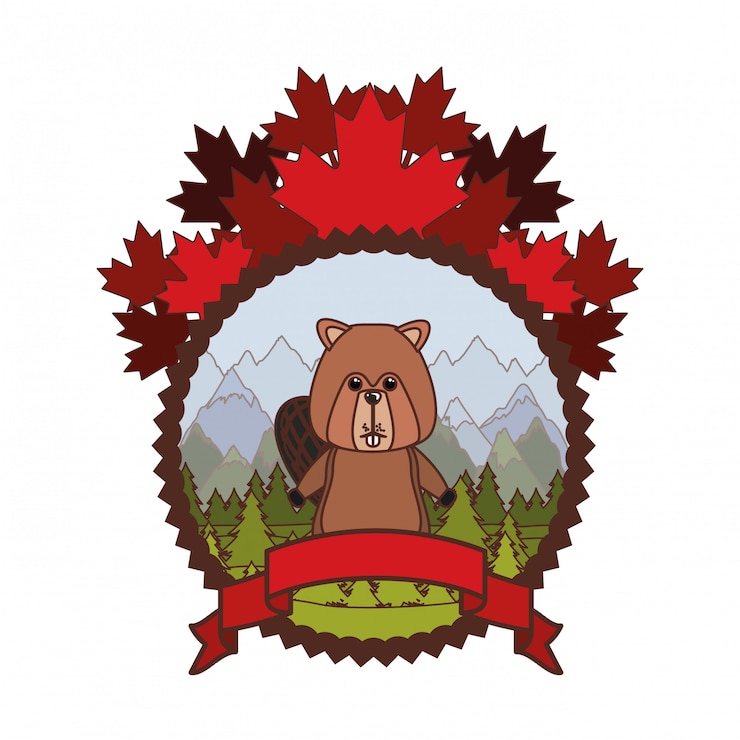 Free Vector beaver forest animal of canada