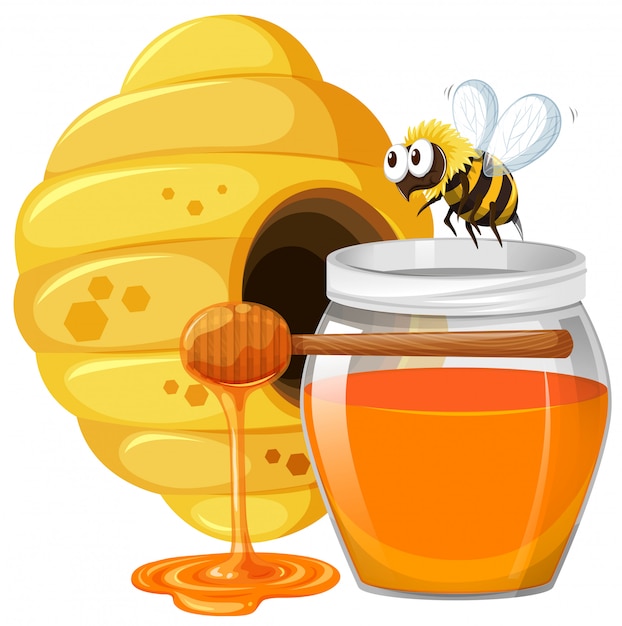 Bee and honey in jar