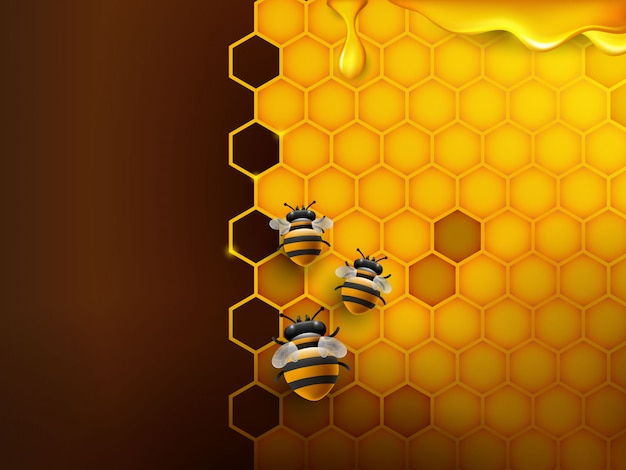 Bee and honeycomb background in orange color