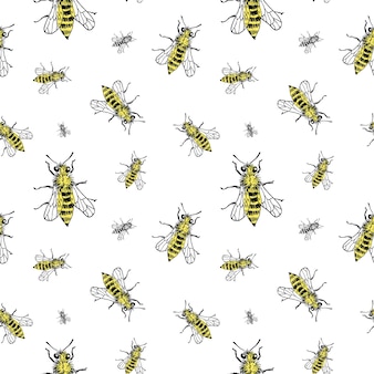 Шаблон эскиза пчелы. ручной обращается насекомых пчел на прозрачном фоне. бесшовные фон вектор.