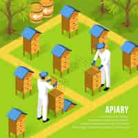 Free vector beekeepers in protective clothing at apiary during work with hives and swarms of bees isometric