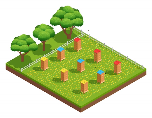 Beekeeping apiary with wooden hives on grass with flowers near trees isometric composition