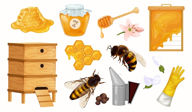 Beekeeping equipment honey set with isolated images of bees beehives honeycomb can with flowers and gloves vector illustration