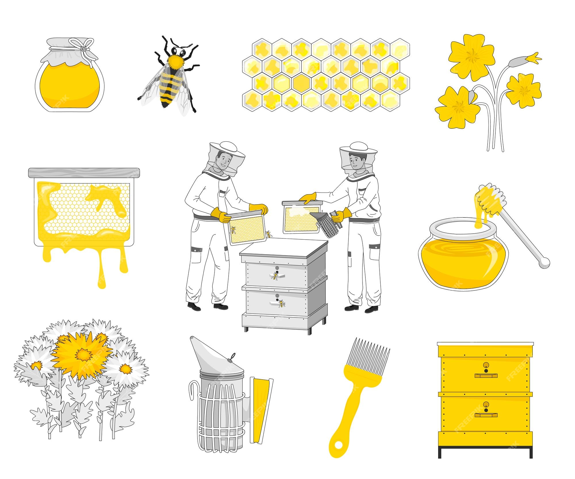 Beekeeper Vector Art, Icons, and Graphics for Free Download