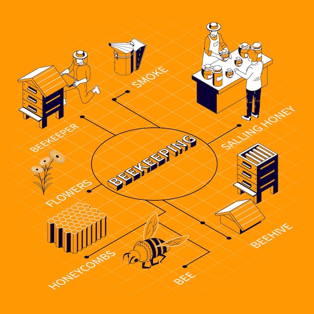 Free vector beekeeping isometric flowchart composition