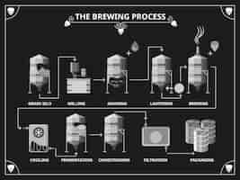 Free vector beer brewing process. beer production infographic