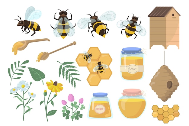 꿀벌과 꿀 세트. 꽃, 벌집 및 넓어짐, 항아리, 냄비 및 국자 흰색 배경에 고립.