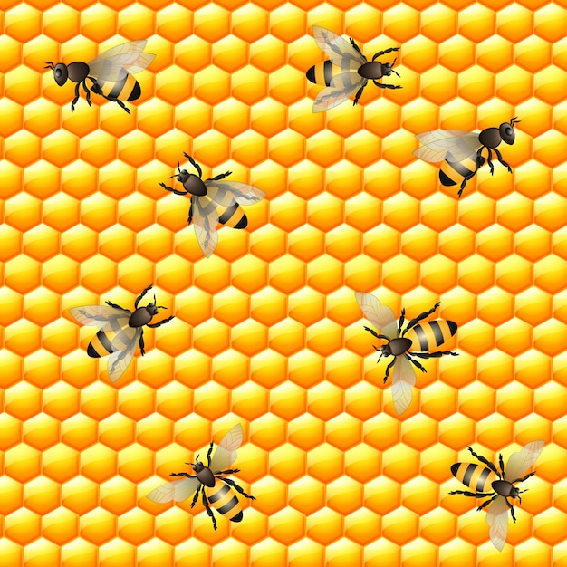 Bees on a honeycomb