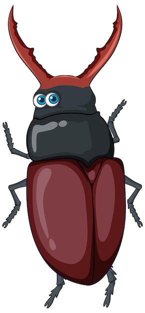 A beetle cartoon character isolated