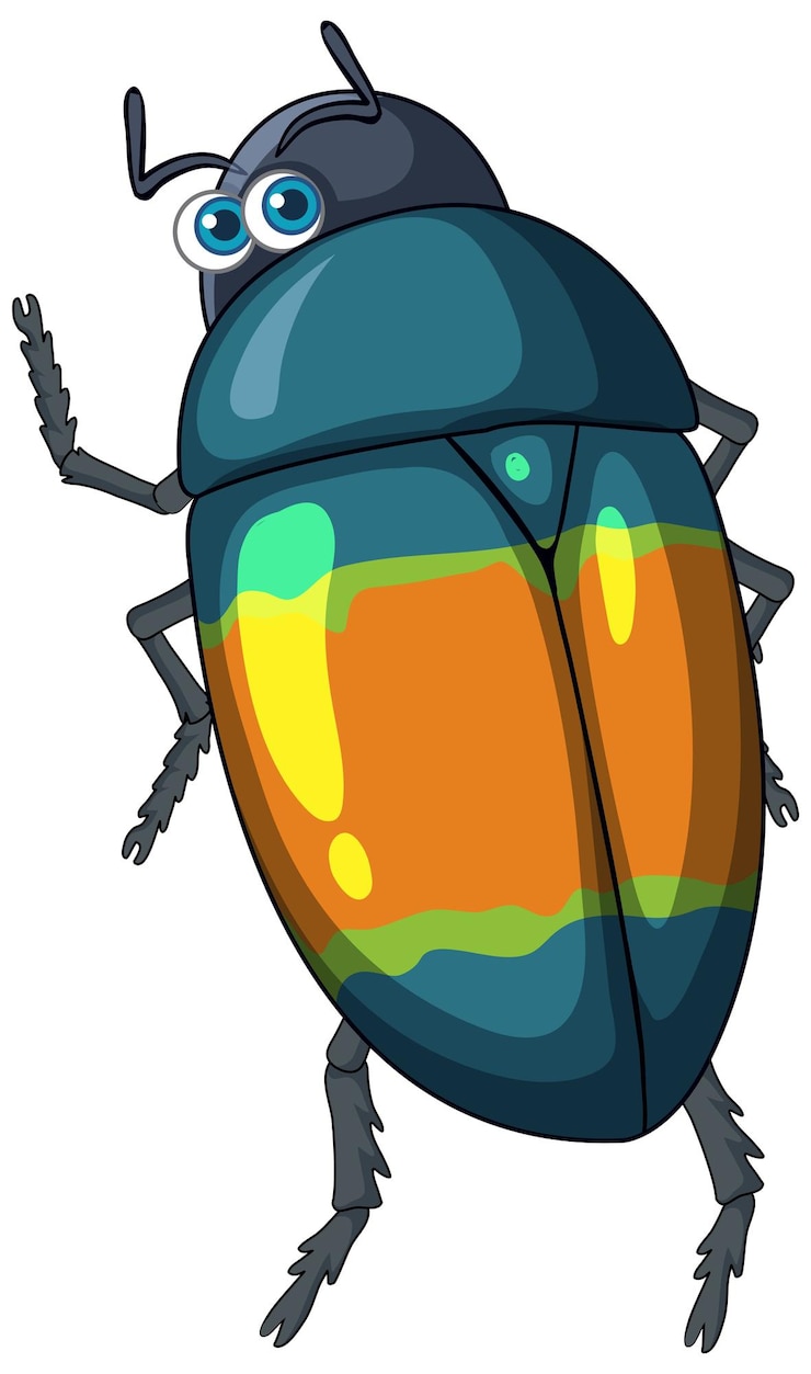 Free Vector a beetle cartoon character isolated