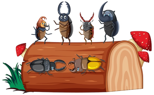 Free vector beetle friends in white background