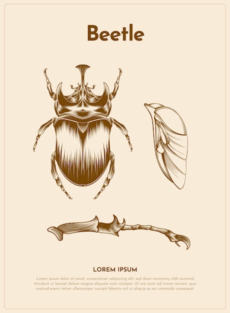 딱정벌레 복고풍 동물 그림