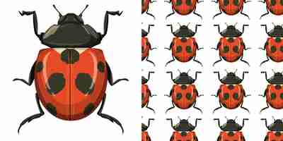 Free vector beetle and seamless background