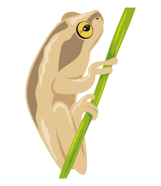 Бесплатное векторное изображение Бежевая лягушка-амфибия
