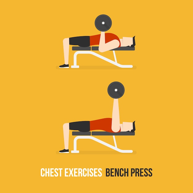 Chest workout Vectors & Illustrations for Free Download