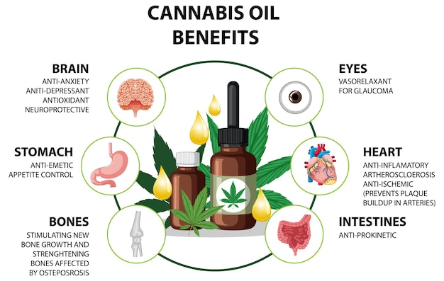 Cannabis Oil