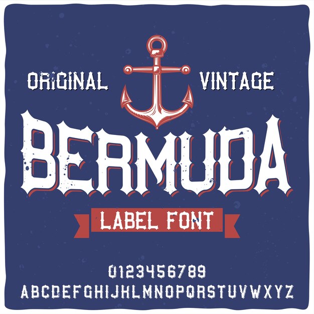 bermuda typeface