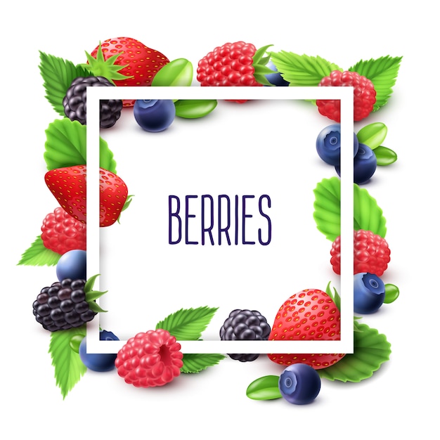 Berries and frame realistic set