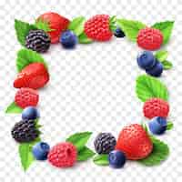 Free vector berry frame transparent illustration