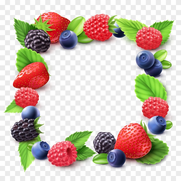 Berry Frame Transparent Illustration 